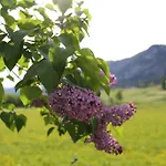Kraftquelle Schlossblick 3*