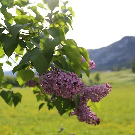Kraftquelle Schlossblick 3*