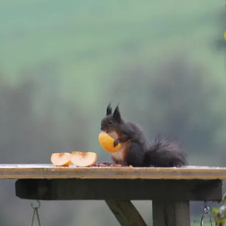 Hotel Kraftquelle Schlossblick Angerberg (Tyrol)