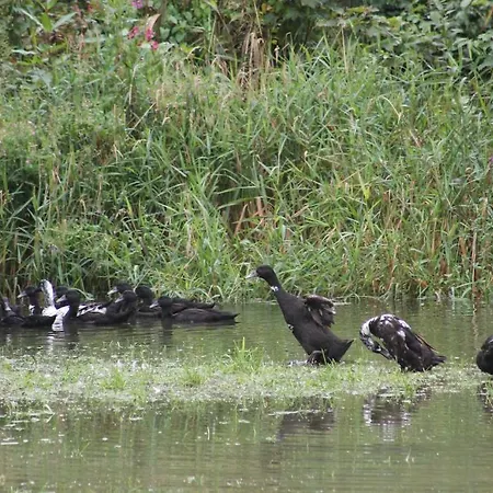Kraftquelle Schlossblick