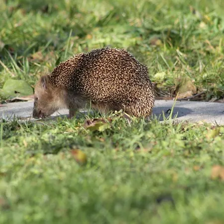 Kraftquelle Schlossblick Hotel 3*